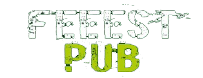Feeest Pub